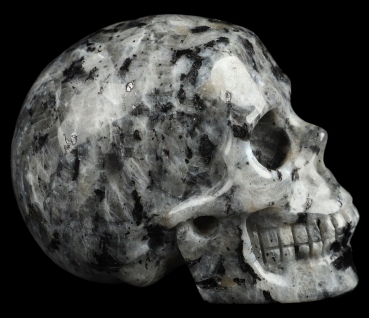 Skull Larvikite